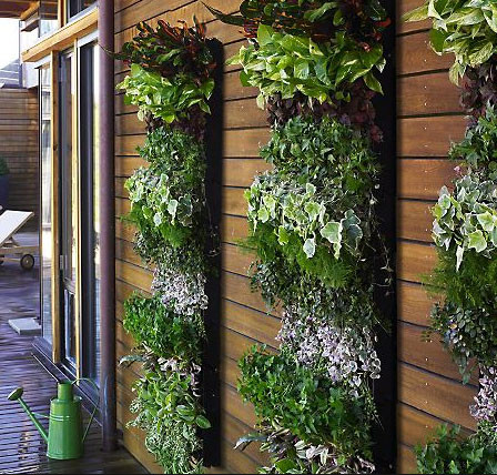 mezcla Contagioso Falsificación Jardinera colgante de 1 bolsa