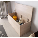 baul_de_almacenamiento_ariel_sonoma_2