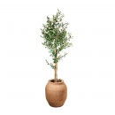 planta-artificial-decorativa-olivo-175