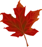 Juego hoja de otoño