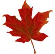 Hoja de otoño