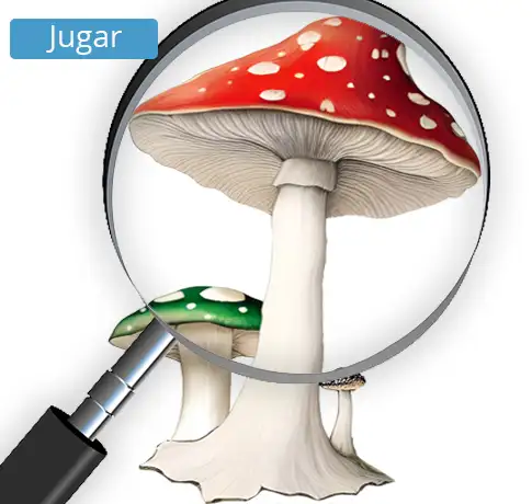 Juego